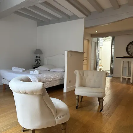 Appartement Batisse Paradis- 3 Calmes Et Elegants Au Centre Historique De Beaune (Cote d'Or)