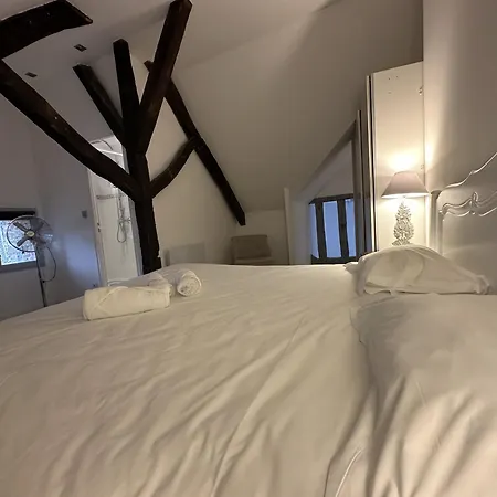 Batisse Paradis- 3 Calmes Et Elegants Au Centre Historique De *